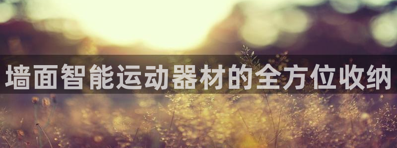 哈哈体育平台假的吗是真的吗:墙面智能运动器材的全方位收纳