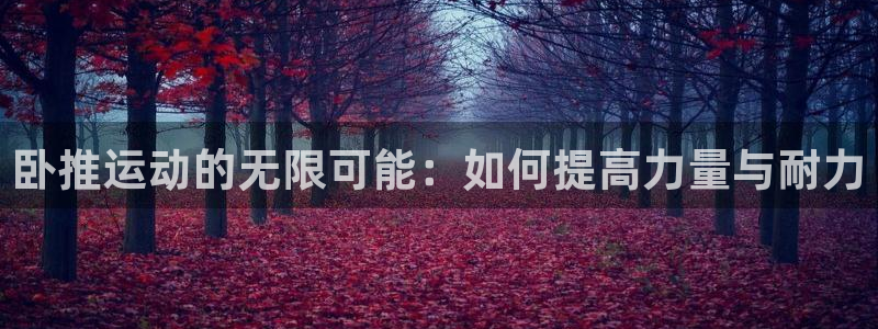 哈哈体育娱乐:卧推运动的无限可能:如何提高力量与耐力